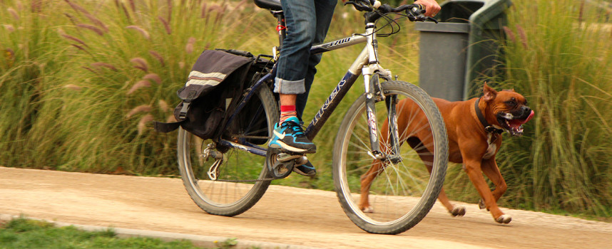 Actividades al aire libre