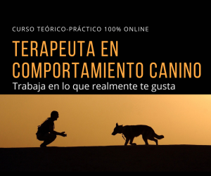 Curso Terapeuta en Comportamiento Canino 100% Online