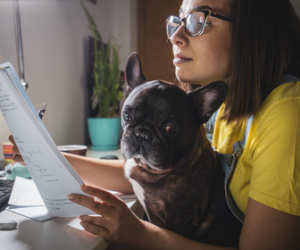 Adiestrador Pro: Programa de formación profesional como especialista en Etología Aplicada y Adiestramiento Canino