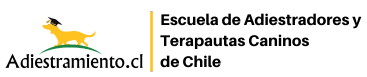 Adiestramiento.cl