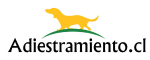 Adiestramiento.cl