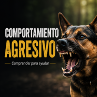 Comportamiento agresivo