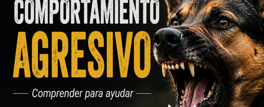 Comportamiento agresivo