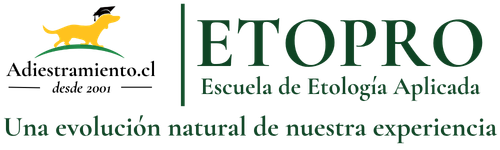 Adiestramiento.cl