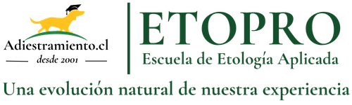 Adiestramiento.cl